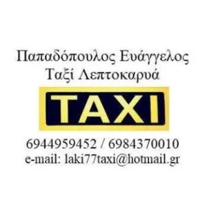 Ταξί Λεπτοκαρυά Πιερίας Παπαδόπουλος Ευάγγελος
